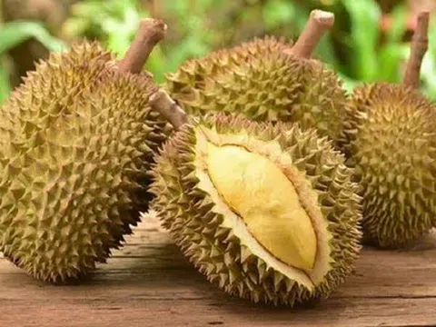Giá sầu riêng hôm nay 6/5/2026: Thị trường ít biến động, giá bình ổn