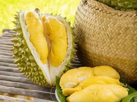 Giá sầu riêng hôm nay 7/5/2026: Thị trường giảm mạnh