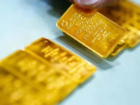 Giá vàng hôm nay 8/5/2026: Giá vàng SJC, nhẫn 9999, vàng nữ trang 24K mới nhất