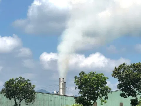 Khói trắng bủa vây khu dân cư, người dân đề nghị quan trắc độc lập nhà máy gỗ