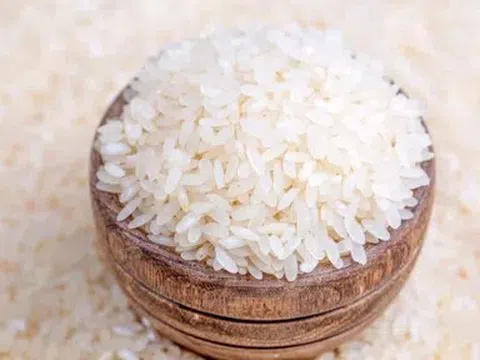 Giá lúa gạo hôm nay 12/5/2026: Toàn cảnh thị trường, xuất khẩu và dự báo