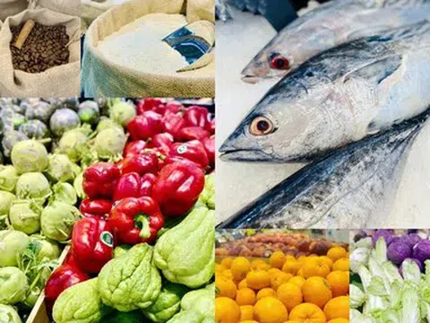 Nông lâm thủy sản Việt Nam tăng tốc kiến tạo giá trị tỷ đô bằng thương hiệu xanh