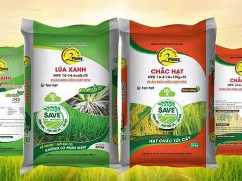 Phân bón 2Phong đặt mục tiêu doanh thu hơn 1.600 tỷ đồng năm 2026, tăng tốc tái cấu trúc và mở rộng thị trường