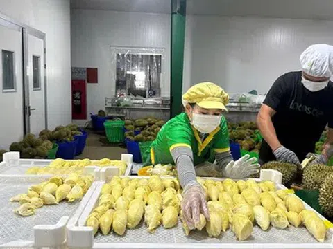Xuất khẩu nông lâm thủy sản Việt Nam ghi nhận nhiều diễn biến trái chiều