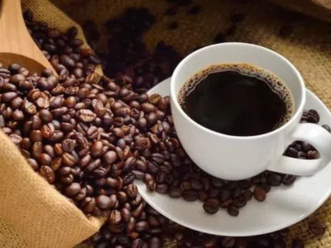 Giá cà phê hôm nay 19/5/2026: Giá đồng loạt giảm mạnh, robusta chạm đáy 4 tuần