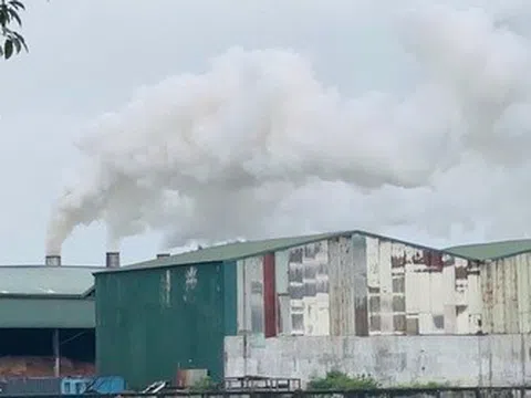 Khói mù mịt từ nhà máy viên nén: Quan trắc độc lập phát hiện khí CO vượt chuẩn