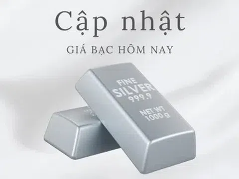 Giá bạc hôm nay 23/5/2026: Cập nhật giá bạc thế giới và trong nước mới nhất
