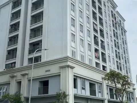 Quảng Ninh: Quyết liệt gỡ "nút thắt” các dự án chậm tiến độ, khơi thông nguồn lực đất đai