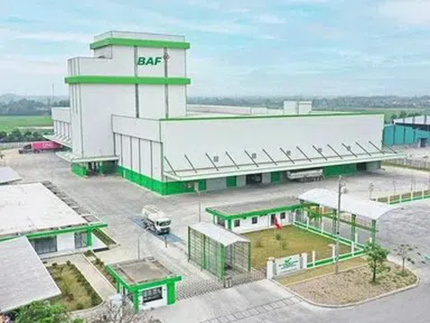 BAF bắt tay FMO triển khai hai dự án chăn nuôi công nghệ cao doanh thu 2.000 tỷ đồng/năm