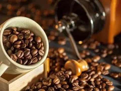Giá cà phê hôm nay 25/5/2026: Cập nhật giá cà phê trong nước và thế giới