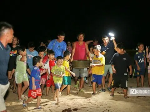 Về nơi "dựng nhà, đỡ đẻ" cho rùa biển