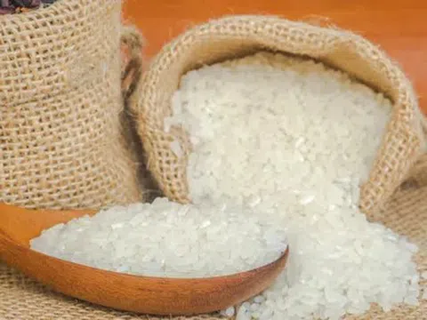 Giá lúa gạo hôm nay 26/5/2026: Thị trường ổn định, gạo nguyên liệu giảm nhẹ