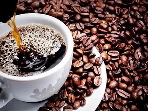 Giá cà phê hôm nay 2/6/2026: Cập nhật giá cà phê trong nước và thế giới