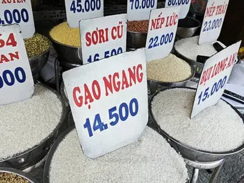El Nino đẩy giá gạo xuất khẩu nhích lên, giá bình quân 5 tháng vẫn giảm sâu