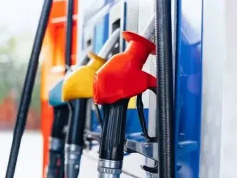Giá xăng dầu hôm nay 8/6/2026: Cập nhật giá xăng dầu trong nước, quốc tế