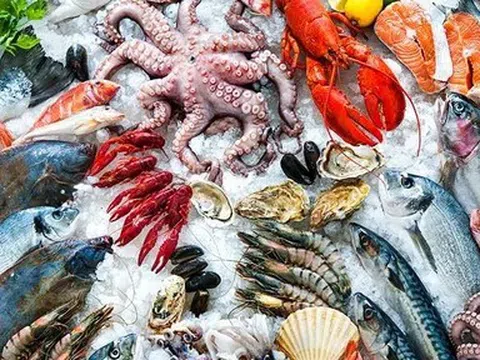 Xuất khẩu thủy sản đạt gần 4,7 tỷ USD, tăng hơn 10,6% trong 5 tháng đầu năm 2026