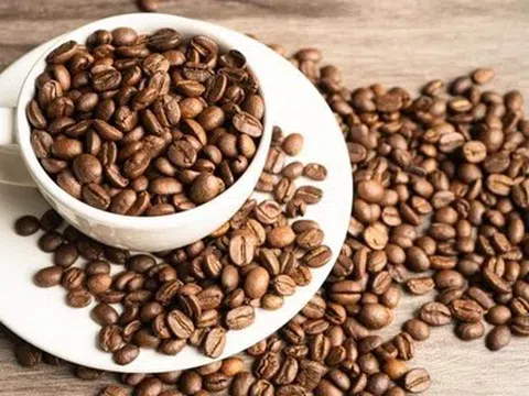Giá cà phê hôm nay 16/6/2026: Cập nhật giá cà phê trong nước, quốc tế