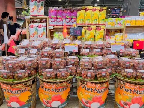 Nắm bắt xu hướng dinh dưỡng, doanh nghiệp Việt đẩy mạnh trái cây sấy
