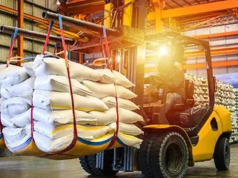 Gạo thơm xuất khẩu được cấp chứng nhận tại địa phương từ ngày 1/7/2026
