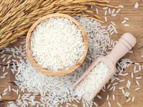 Giá lúa gạo hôm nay 22/6/2026: Duy trì trạng thái ổn định