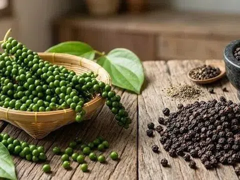Giá tiêu hôm nay 22/6/2026: Toàn cảnh thị trường, xu hướng và dự báo