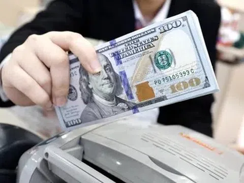 Tỷ giá USD ngày 6/7/2026: Đồng USD đối mặt áp lực giảm trong tuần này