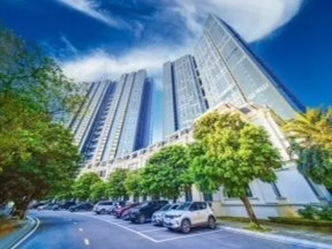 Sunshine Homes công bố kết quả hoạt động kinh doanh quý 4 năm 2022