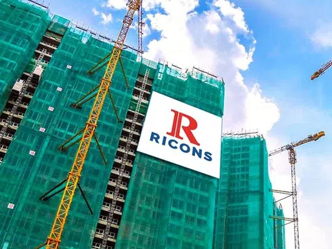 Ricons báo lãi gần trăm tỷ năm 2022, vươn lên dẫn trước Coteccons