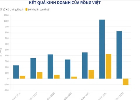 Lỗ kỷ lục, cổ phiếu Chứng khoán Rồng Việt bị đưa vào diện cảnh báo