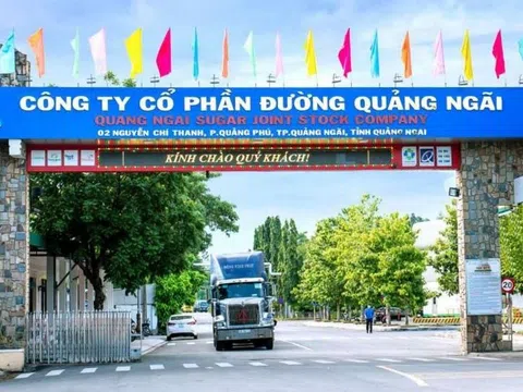 Chủ thương hiệu Vinasoy đặt chỉ tiêu trả cổ tức 2023 giảm mạnh