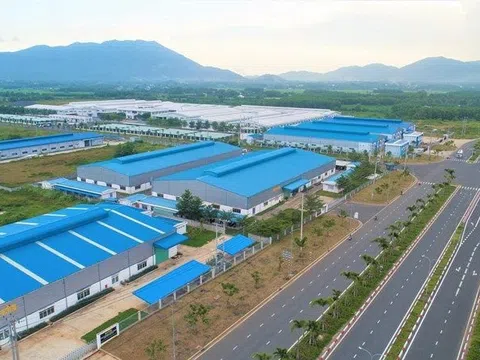 Chủ tịch Sonadezi Khang Điền nhận lương 30 triệu đồng trong cả quý I/2023