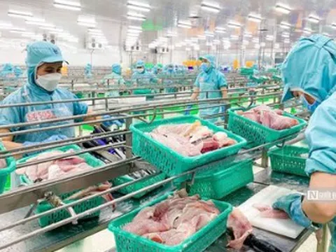 Lợi nhuận tụt dốc, Sao Mai vẫn "mệt" vì bất động sản