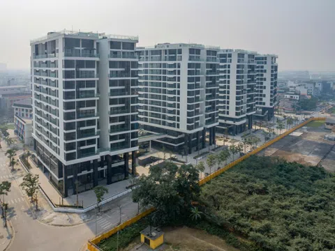 Khách trúng 200 triệu chỉ sau 1 giây và pha “chốt giải” thần tốc nhất lịch sử livestream Sunshine Group
